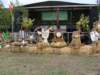 dsc03857_small.jpg
